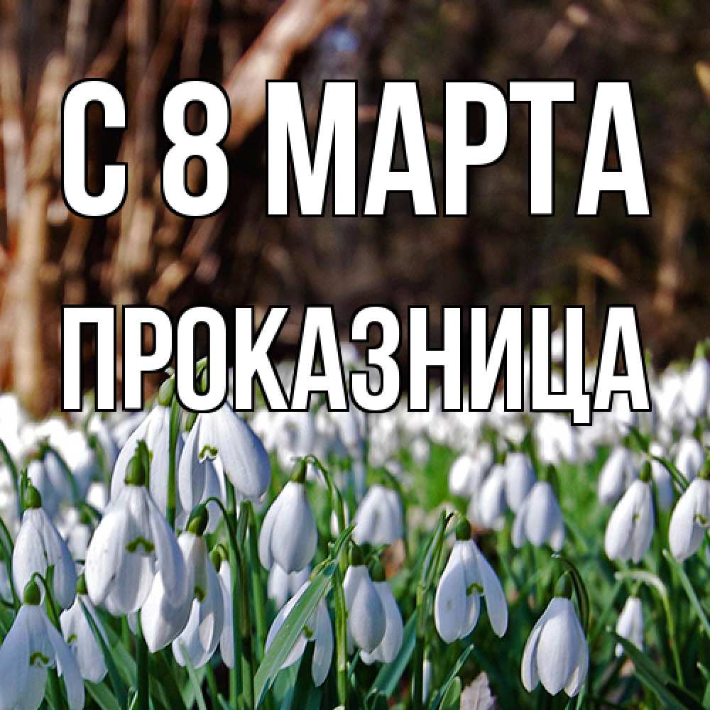 Открытка на каждый день с именем, Проказница C 8 МАРТА с подснежниками 1 Прикольная открытка с пожеланием онлайн скачать бесплатно 
