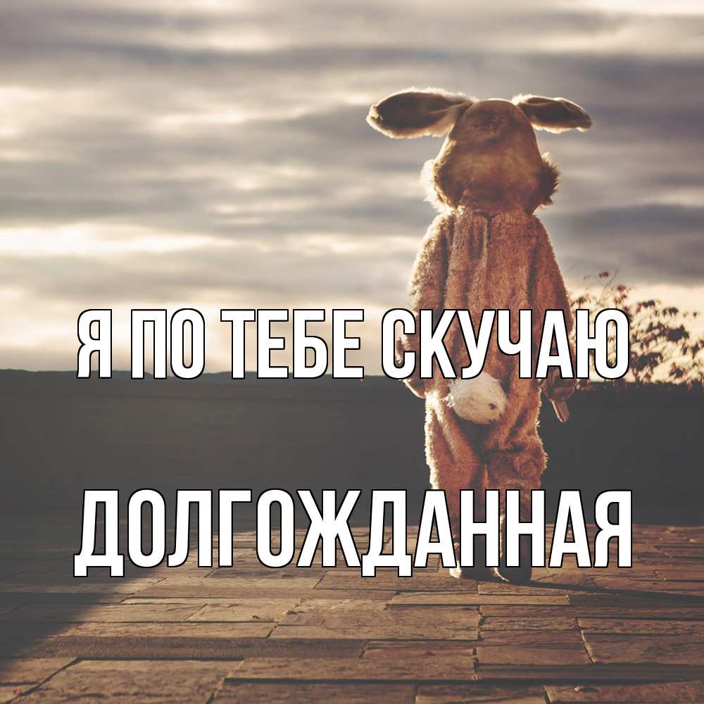 Открытка на каждый день с именем, Долгожданная Я по тебе скучаю даже в костюме зайца Прикольная открытка с пожеланием онлайн скачать бесплатно 