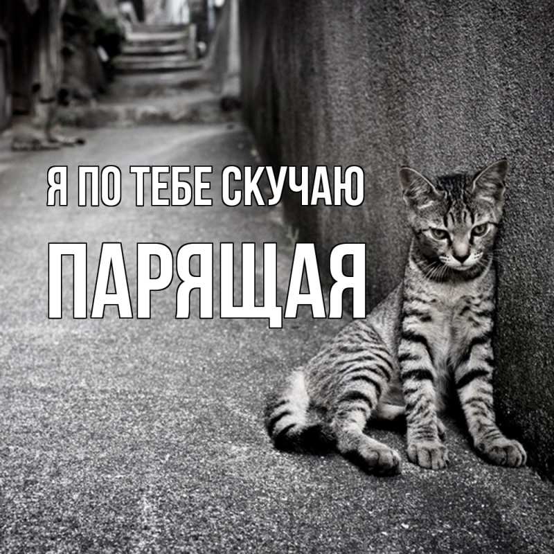 Картинка Я по тебе скучаю, Паpящая