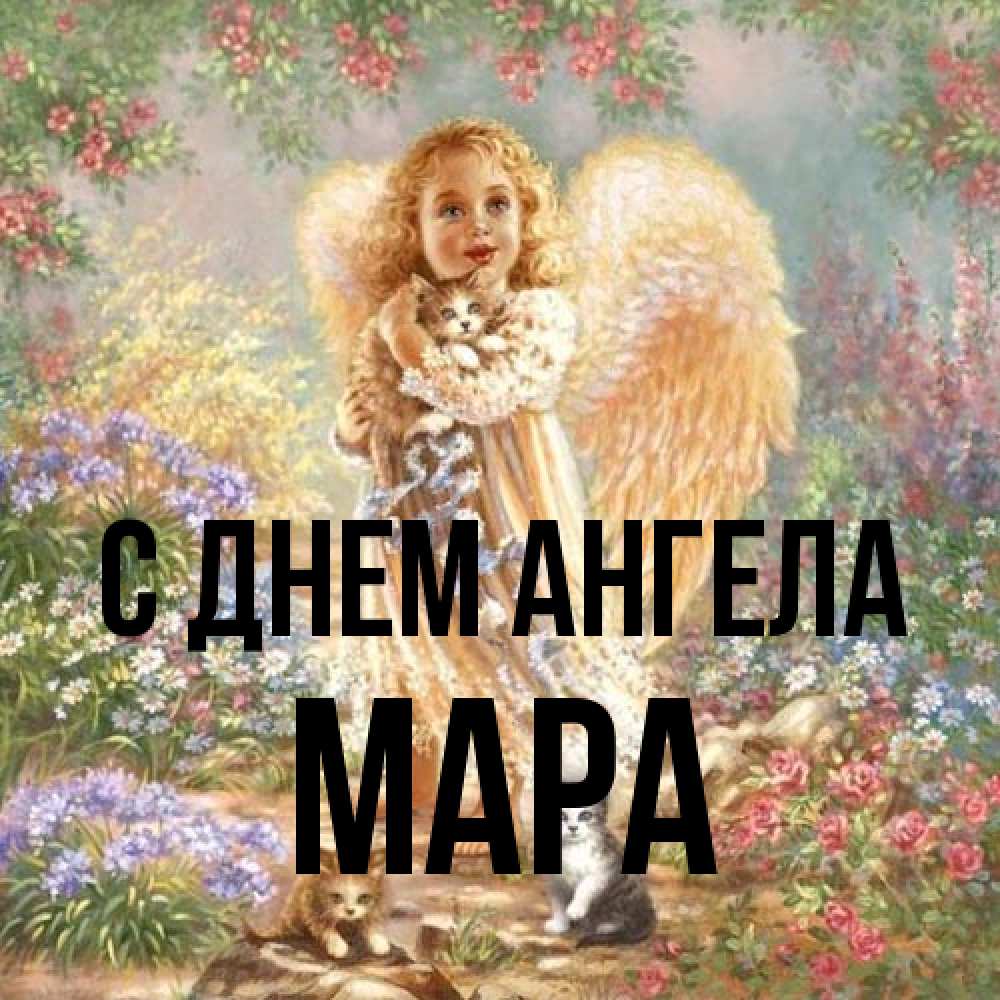Открытка на каждый день с именем, Мара С днем ангела держит котенка Прикольная открытка с пожеланием онлайн скачать бесплатно 