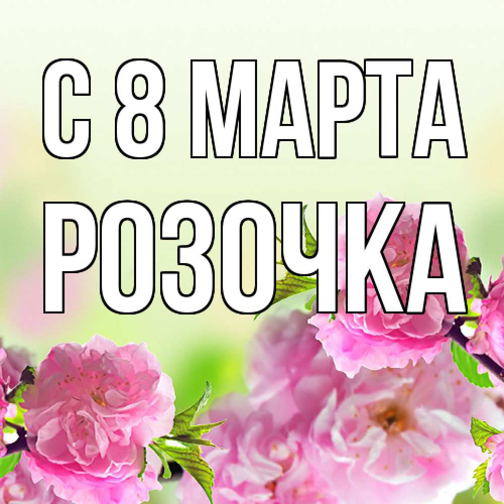 Открытка на каждый день с именем, Розочка C 8 МАРТА цветы Прикольная открытка с пожеланием онлайн скачать бесплатно 