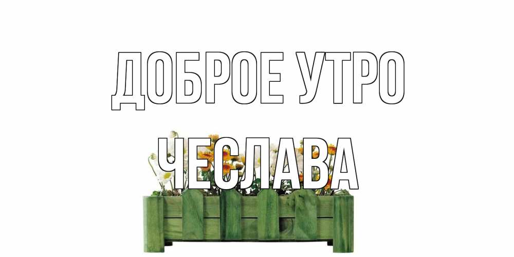 Открытка на каждый день с именем, Чеслава Доброе утро цветы Прикольная открытка с пожеланием онлайн скачать бесплатно 