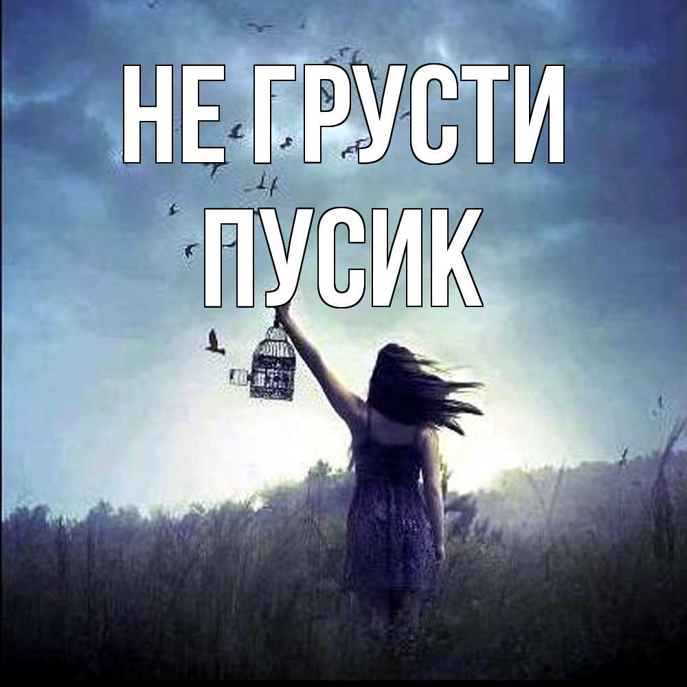 Открытка на каждый день с именем, пусик Не грусти на волю Прикольная открытка с пожеланием онлайн скачать бесплатно 