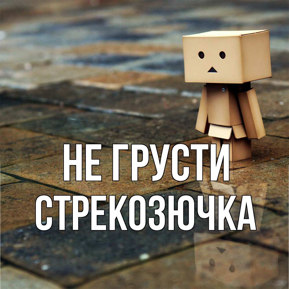 Открытка на каждый день с именем, Стрекозючка Не грусти Стив Прикольная открытка с пожеланием онлайн скачать бесплатно 