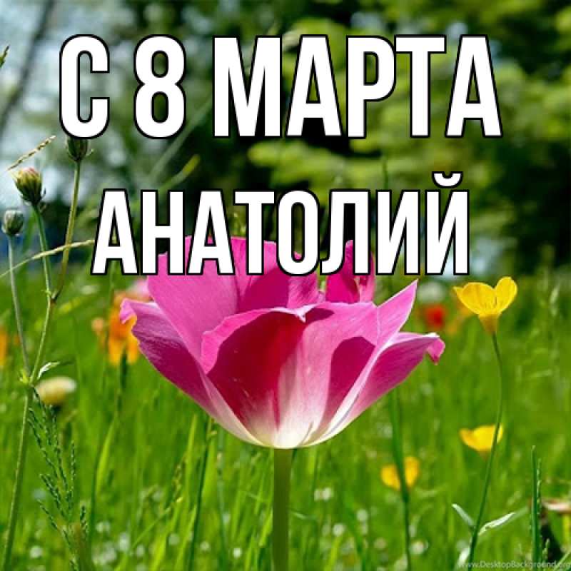 Картинка C 8 МАРТА, Анатолий