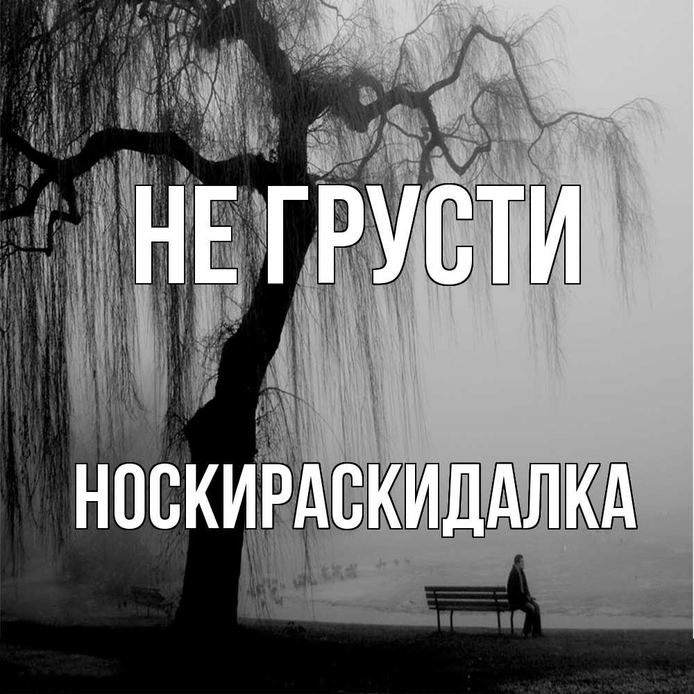 Открытка на каждый день с именем, Носкираскидалка Не грусти висящие ветки дерева и лавочка под деревом Прикольная открытка с пожеланием онлайн скачать бесплатно 