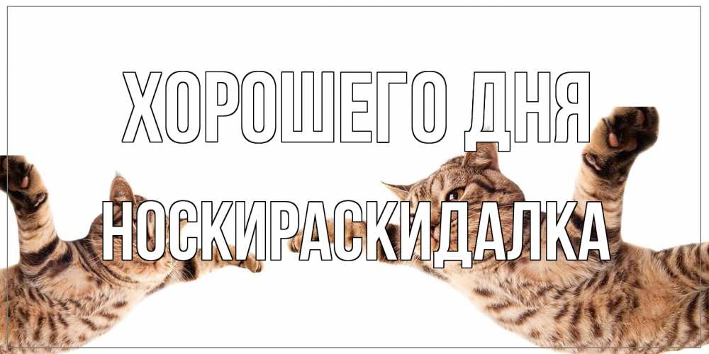 Открытка на каждый день с именем, Носкираскидалка Хорошего дня хорошего дня Прикольная открытка с пожеланием онлайн скачать бесплатно 