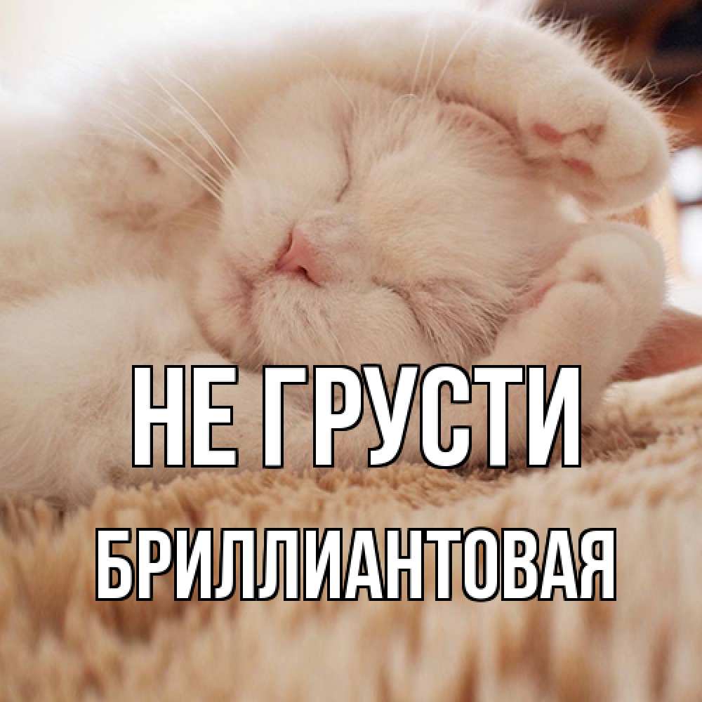 Открытка на каждый день с именем, Бpиллиантовая Не грусти белый кот Прикольная открытка с пожеланием онлайн скачать бесплатно 