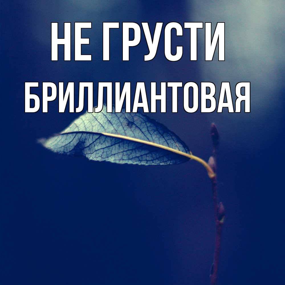 Открытка на каждый день с именем, Бpиллиантовая Не грусти растение Прикольная открытка с пожеланием онлайн скачать бесплатно 