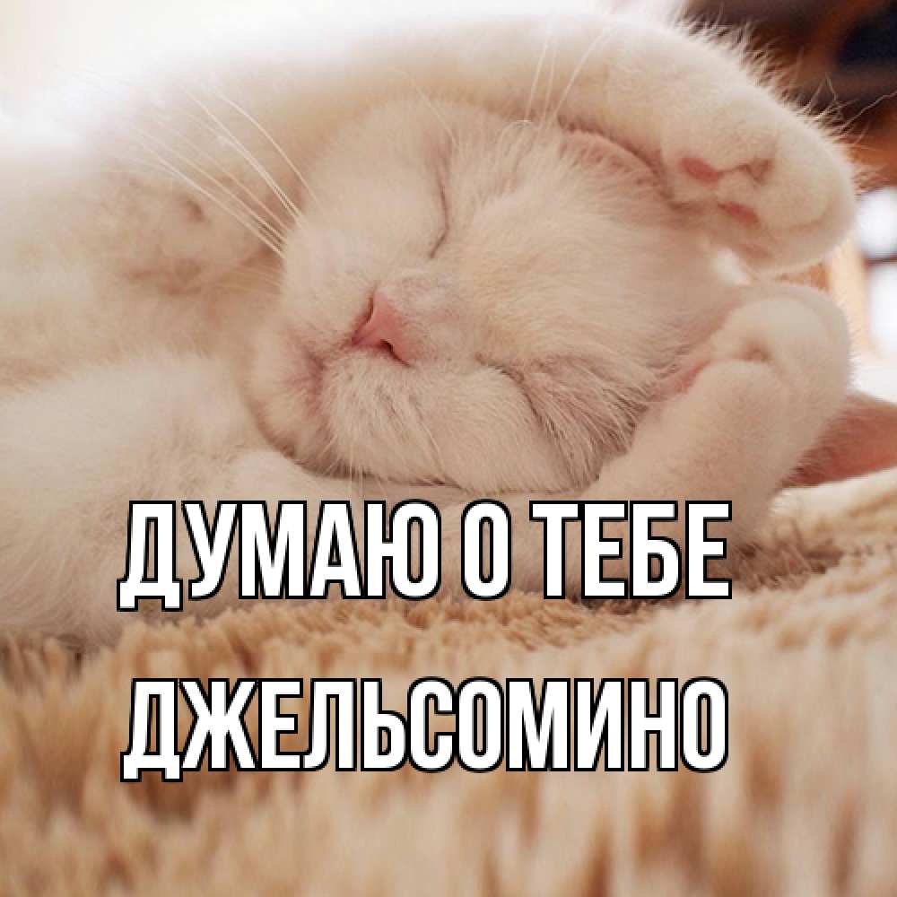 Открытка на каждый день с именем, Джельсомино Думаю о тебе для любимой девушки милота Прикольная открытка с пожеланием онлайн скачать бесплатно 