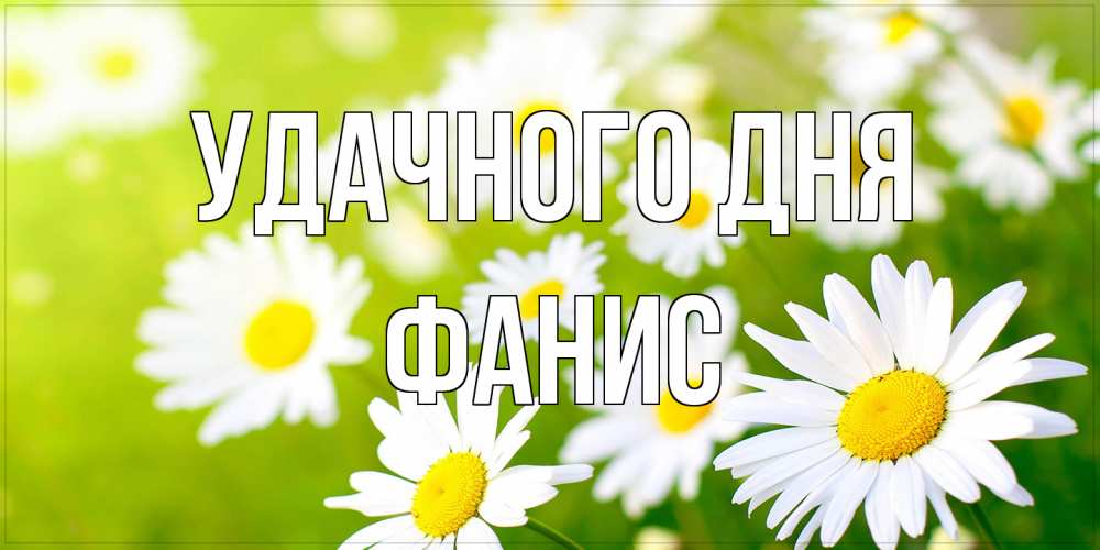 Открытка на каждый день с именем, Фанис Удачного дня открытка с ромашками на зеленом фоне Прикольная открытка с пожеланием онлайн скачать бесплатно 