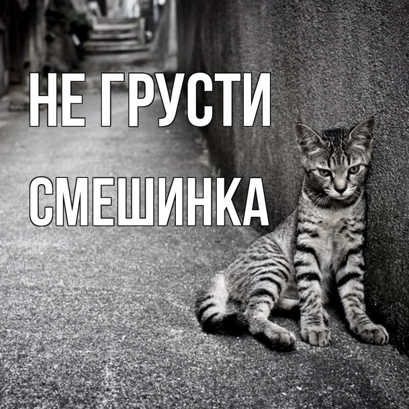 Картинка Не грусти, Смешинка