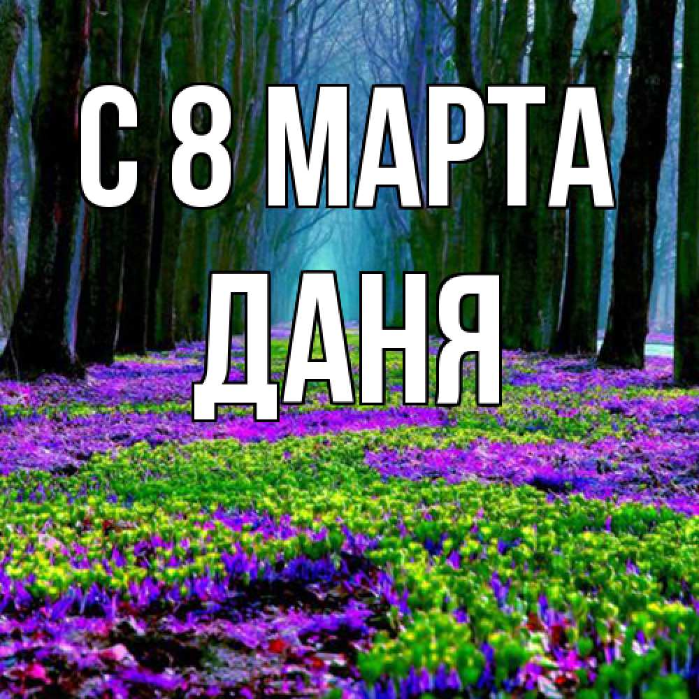Открытка на каждый день с именем, Даня C 8 МАРТА фиолетовые цветы в лесу 1 Прикольная открытка с пожеланием онлайн скачать бесплатно 