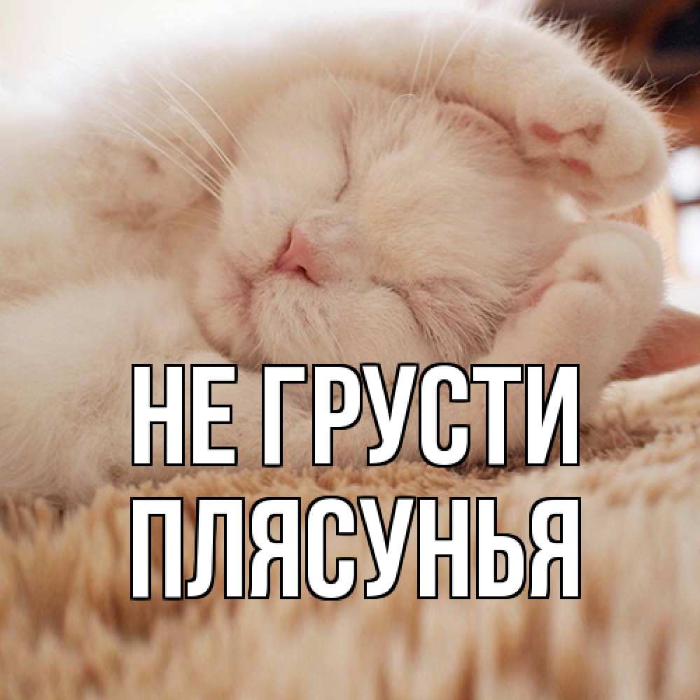 Открытка на каждый день с именем, Плясунья Не грусти белый кот Прикольная открытка с пожеланием онлайн скачать бесплатно 