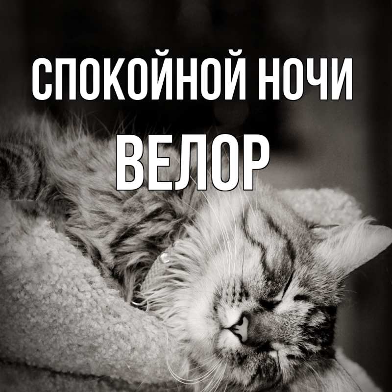 Картинка Спокойной ночи, Велор