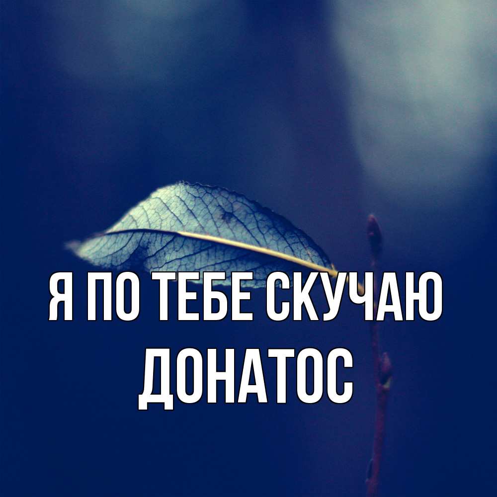 Открытка на каждый день с именем, Донатос Я по тебе скучаю одна ветка 1 Прикольная открытка с пожеланием онлайн скачать бесплатно 