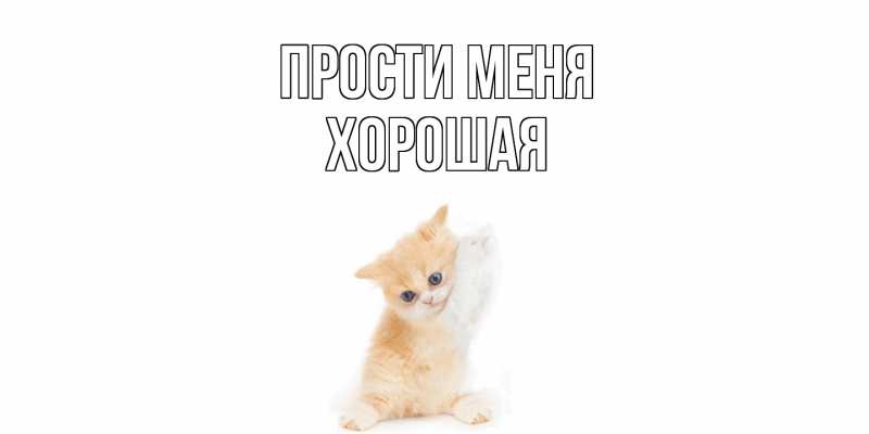 Картинка Прости меня, хорошая