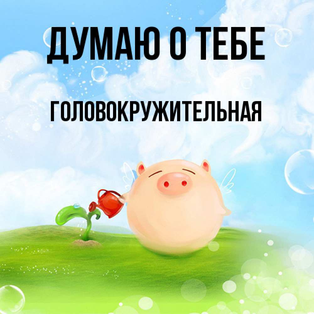 Открытка на каждый день с именем, Головокpужительная Думаю о тебе позитивная свинюшка Прикольная открытка с пожеланием онлайн скачать бесплатно 