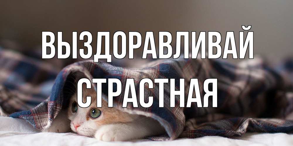 Открытка на каждый день с именем, Страстная Выздоравливай не болейте с котиком Прикольная открытка с пожеланием онлайн скачать бесплатно 