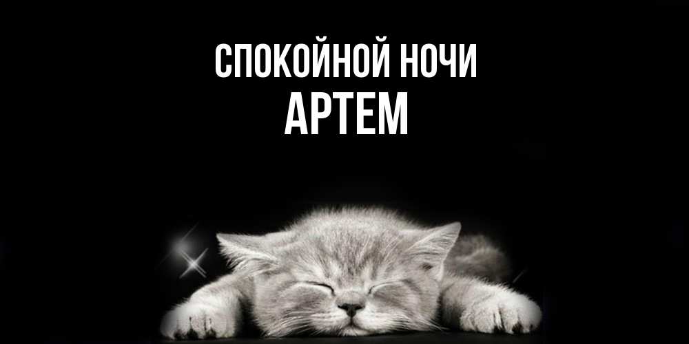 Открытка на каждый день с именем, Артем Спокойной ночи спящий котик Прикольная открытка с пожеланием онлайн скачать бесплатно 