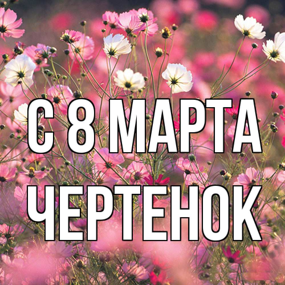 Открытка на каждый день с именем, чеpтенок C 8 МАРТА красиво 1 Прикольная открытка с пожеланием онлайн скачать бесплатно 