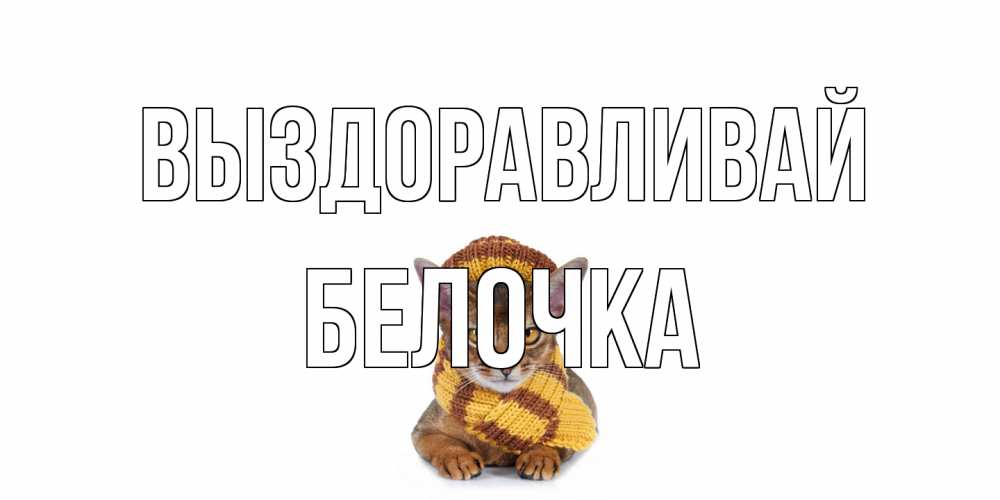 Открытка на каждый день с именем, Белочка Выздоравливай родные не болейте Прикольная открытка с пожеланием онлайн скачать бесплатно 