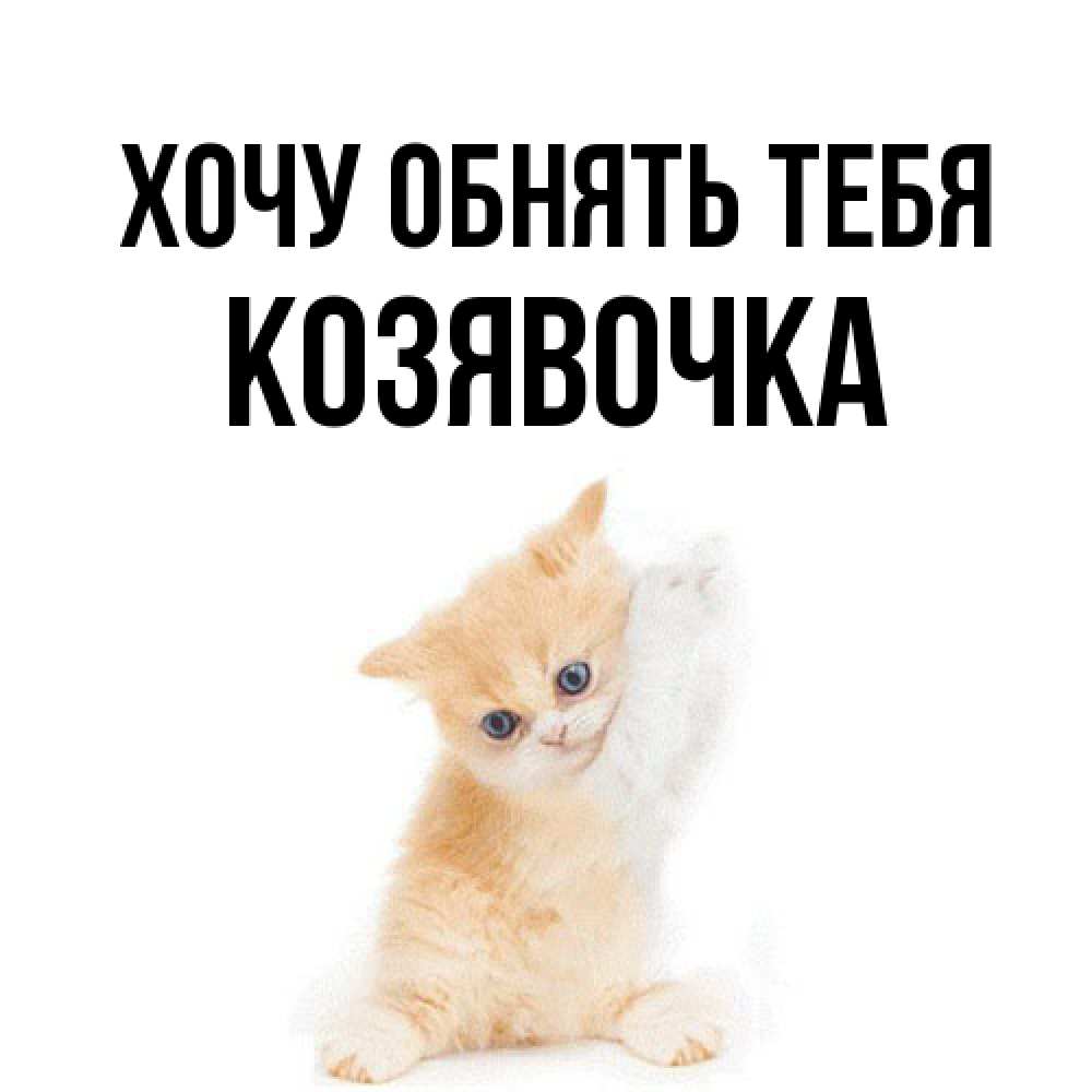 Открытка на каждый день с именем, Козявочка Хочу обнять тебя я хочу очень скорее обнимаешек Прикольная открытка с пожеланием онлайн скачать бесплатно 