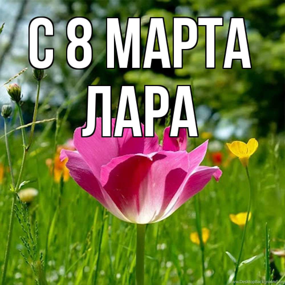 Открытка на каждый день с именем, Лара C 8 МАРТА полевые цветы Прикольная открытка с пожеланием онлайн скачать бесплатно 