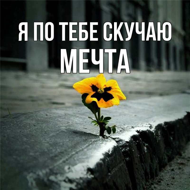 Картинка Я по тебе скучаю, мечта