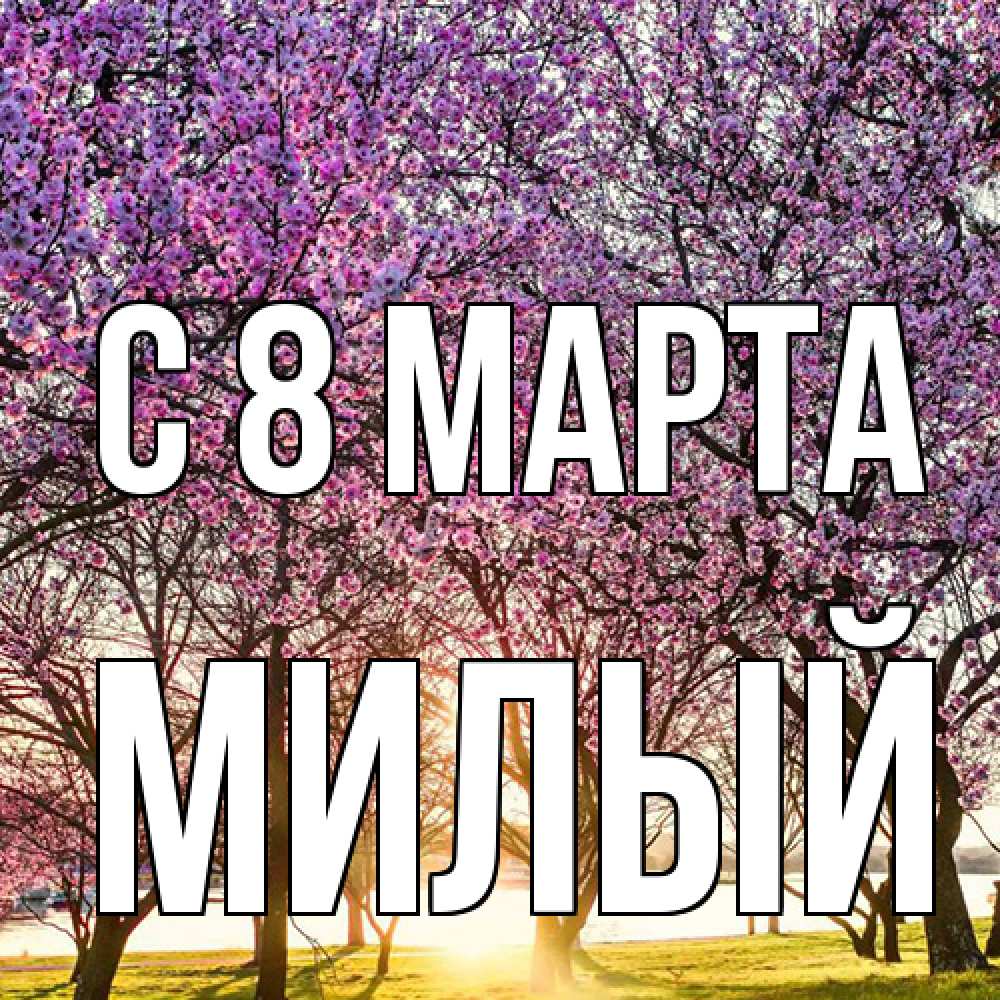 Открытка на каждый день с именем, Милый C 8 МАРТА международный женский день Прикольная открытка с пожеланием онлайн скачать бесплатно 