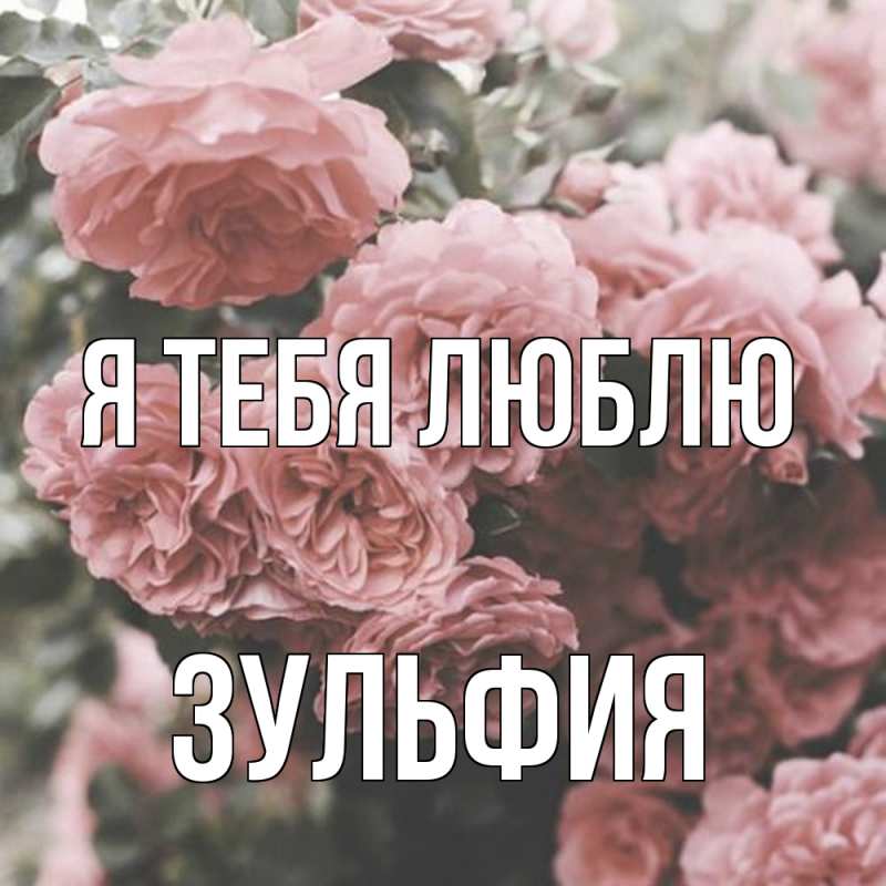 Картинка Я тебя люблю, Зульфия