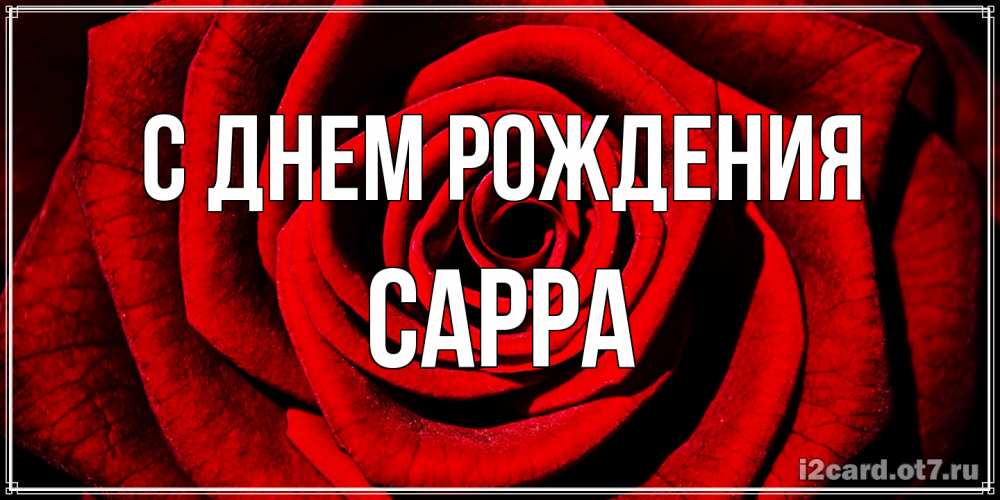 Открытка на каждый день с именем, Сарра С днем рождения алая роза Прикольная открытка с пожеланием онлайн скачать бесплатно 