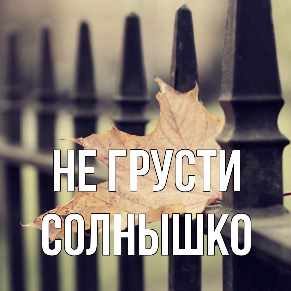 Открытка на каждый день с именем, Солнышко Не грусти лист клена Прикольная открытка с пожеланием онлайн скачать бесплатно 