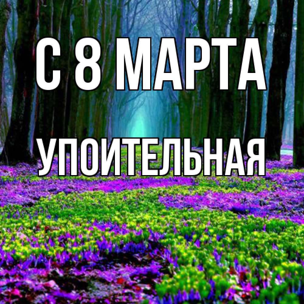 Открытка на каждый день с именем, Упоительная C 8 МАРТА фиолетовые цветы в лесу 1 Прикольная открытка с пожеланием онлайн скачать бесплатно 
