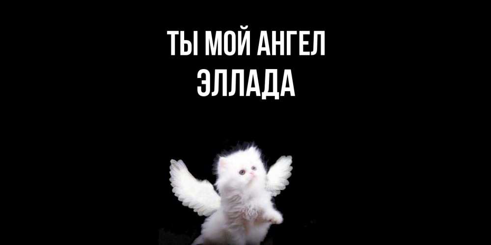 Открытка на каждый день с именем, Эллада Ты мой ангел Кот ангел Прикольная открытка с пожеланием онлайн скачать бесплатно 