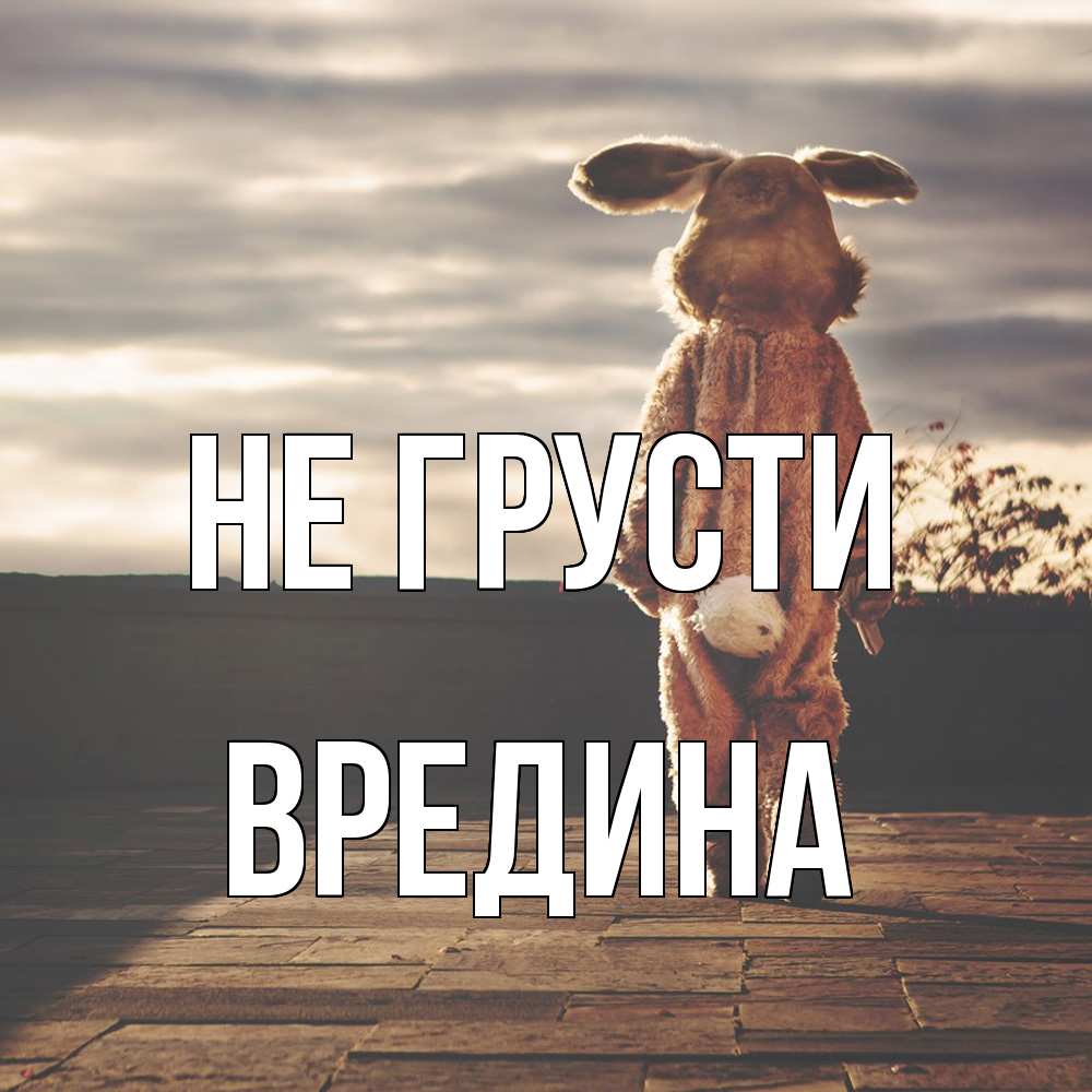 Открытка на каждый день с именем, вредина Не грусти со спины Прикольная открытка с пожеланием онлайн скачать бесплатно 