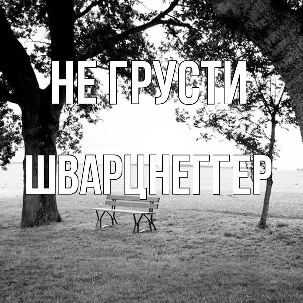 Открытка на каждый день с именем, Шварцнеггер Не грусти мощное дерево Прикольная открытка с пожеланием онлайн скачать бесплатно 