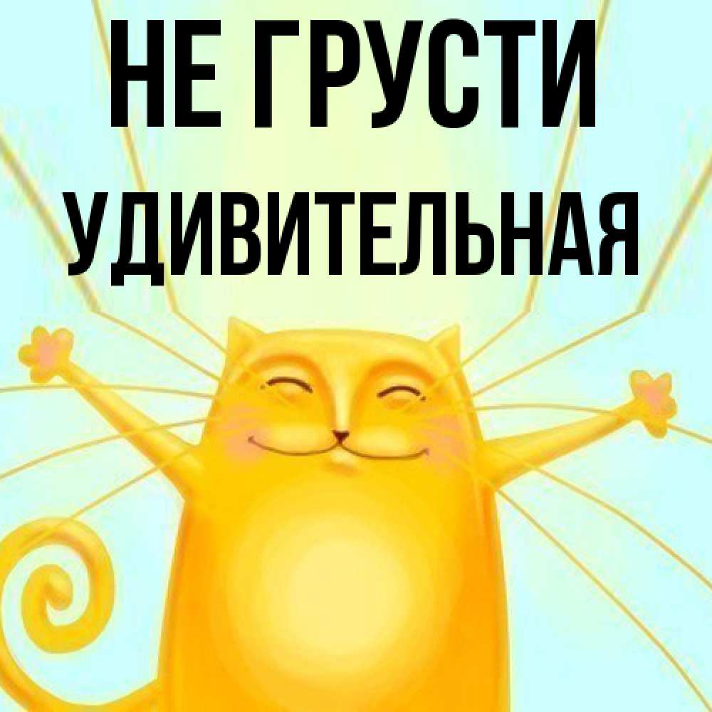 Открытка на каждый день с именем, удивительная Не грусти обнимашки усатые Прикольная открытка с пожеланием онлайн скачать бесплатно 