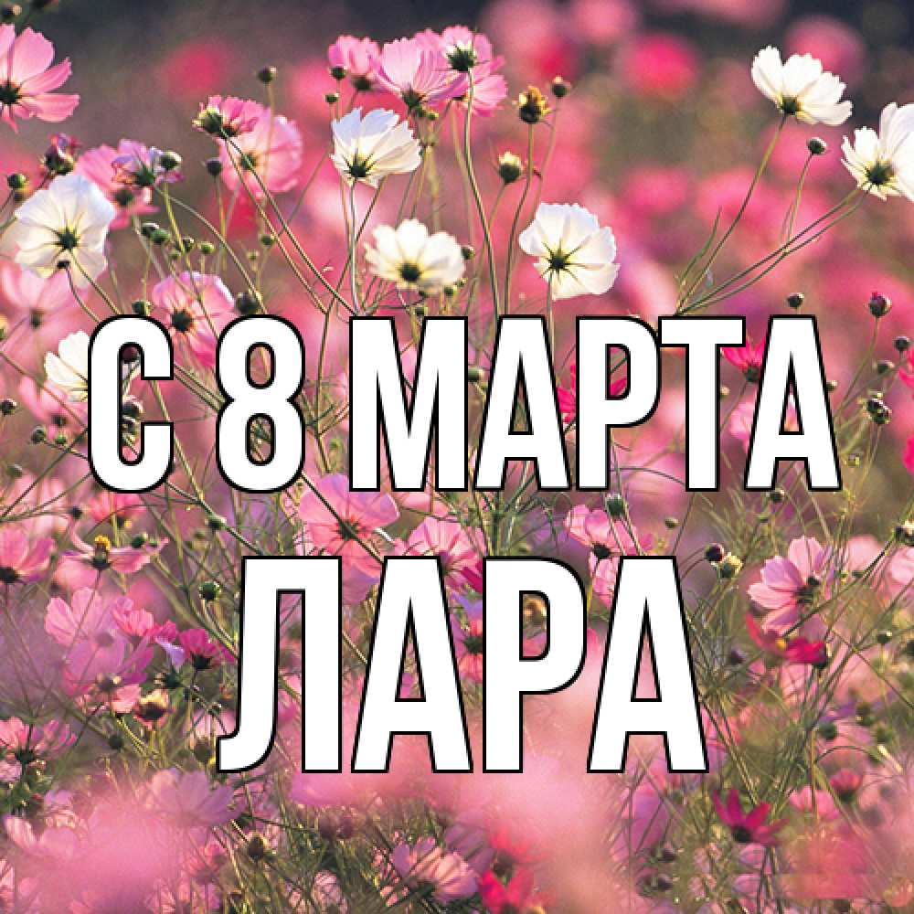 Открытка на каждый день с именем, Лара C 8 МАРТА красиво 1 Прикольная открытка с пожеланием онлайн скачать бесплатно 