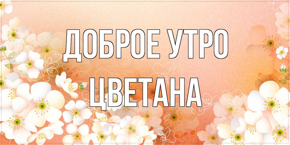 Открытка на каждый день с именем, Цветана Доброе утро доброе утро с цветами Прикольная открытка с пожеланием онлайн скачать бесплатно 