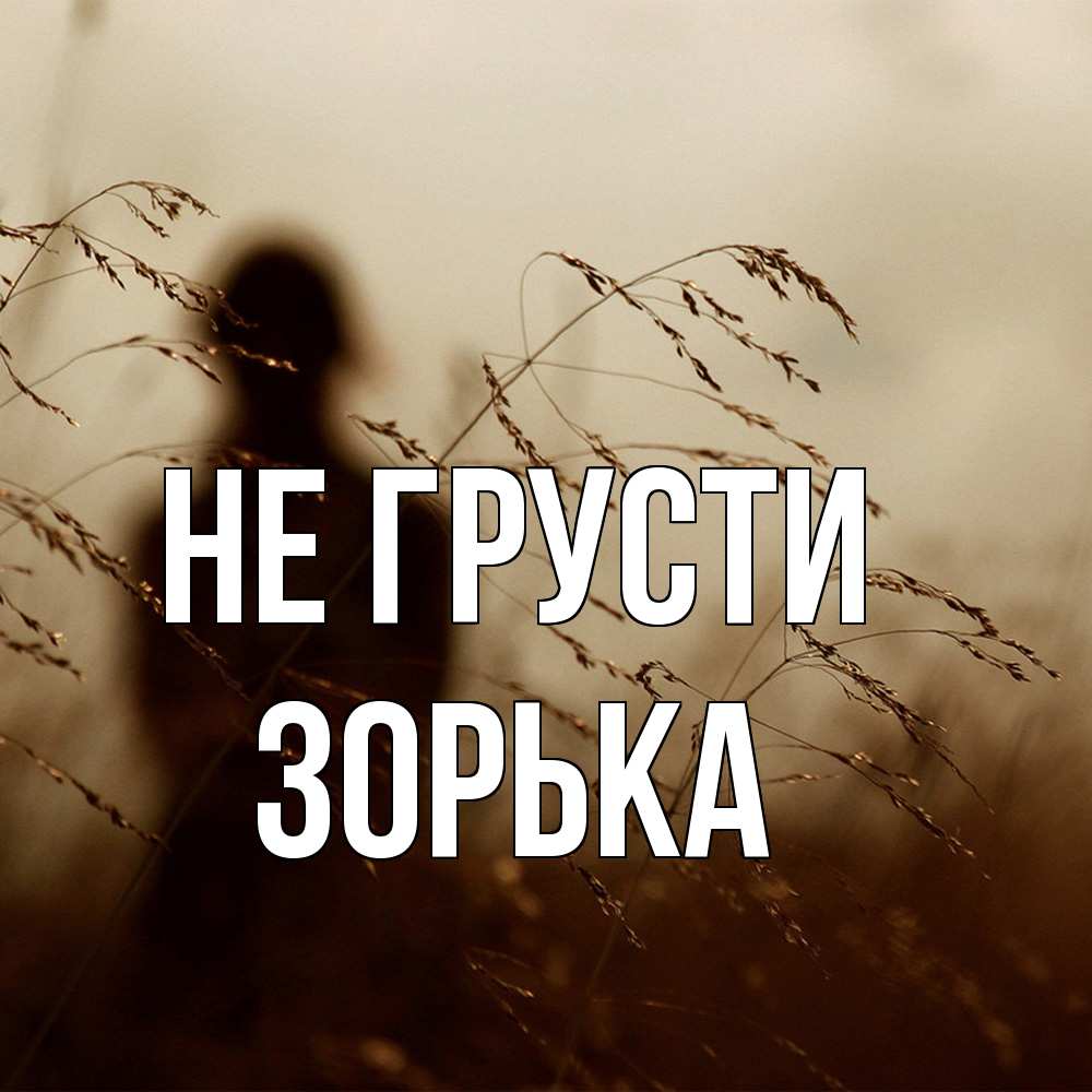 Открытка на каждый день с именем, Зоpька Не грусти грусть Прикольная открытка с пожеланием онлайн скачать бесплатно 