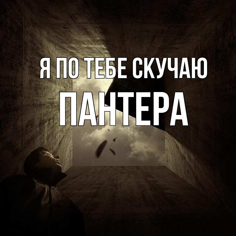 Открытка на каждый день с именем, Пантера Я по тебе скучаю тут Прикольная открытка с пожеланием онлайн скачать бесплатно 