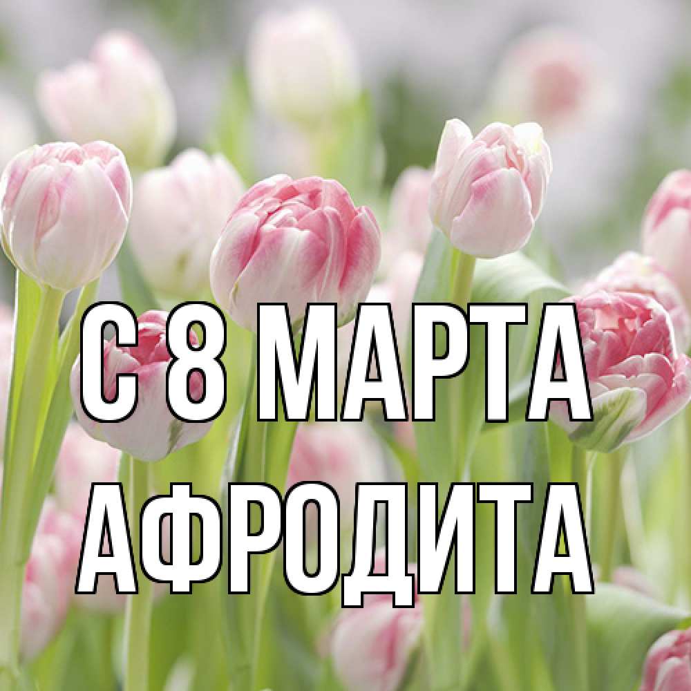 Открытка на каждый день с именем, Афродита C 8 МАРТА цветы Прикольная открытка с пожеланием онлайн скачать бесплатно 