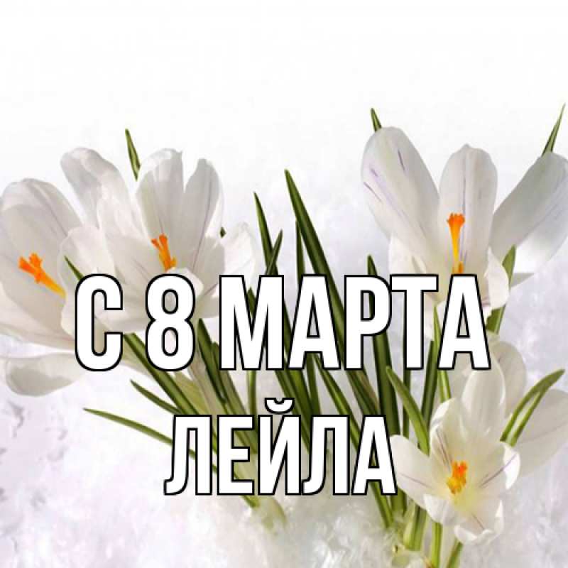 Картинка C 8 МАРТА, Лейла