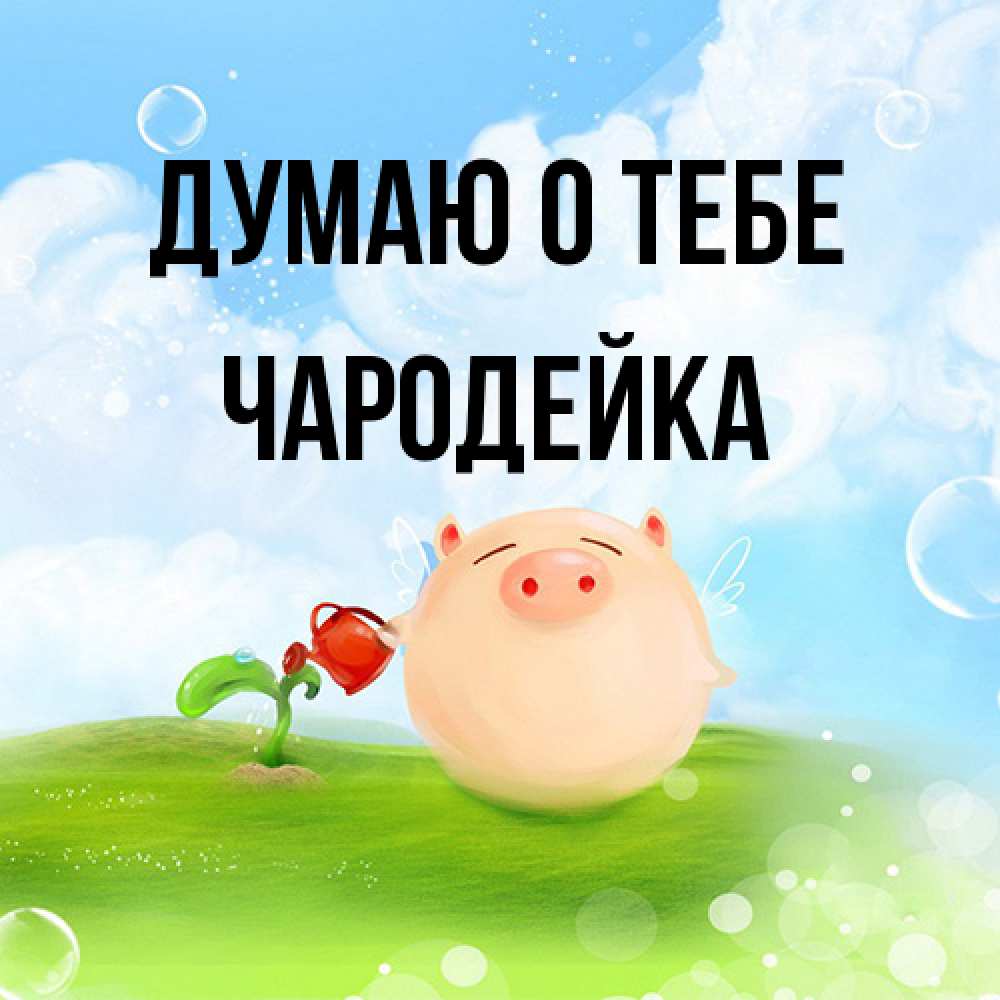 Открытка на каждый день с именем, Чаpодейка Думаю о тебе позитивная свинюшка Прикольная открытка с пожеланием онлайн скачать бесплатно 