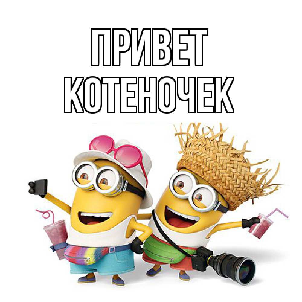 Открытка на каждый день с именем, Котеночек Привет привет от желтеньких Прикольная открытка с пожеланием онлайн скачать бесплатно 