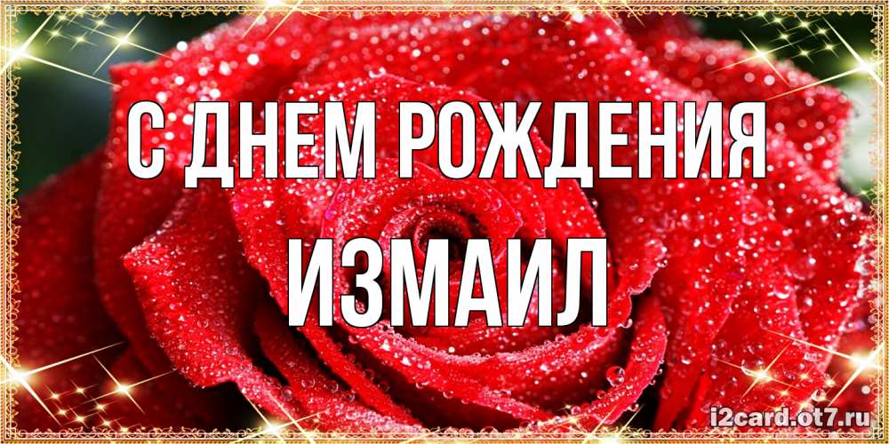 Открытка на каждый день с именем, Измаил С днем рождения роса и роза. открытка с красивой розой Прикольная открытка с пожеланием онлайн скачать бесплатно 