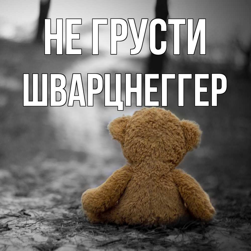 Открытка на каждый день с именем, Шварцнеггер Не грусти медведь со спин Прикольная открытка с пожеланием онлайн скачать бесплатно 
