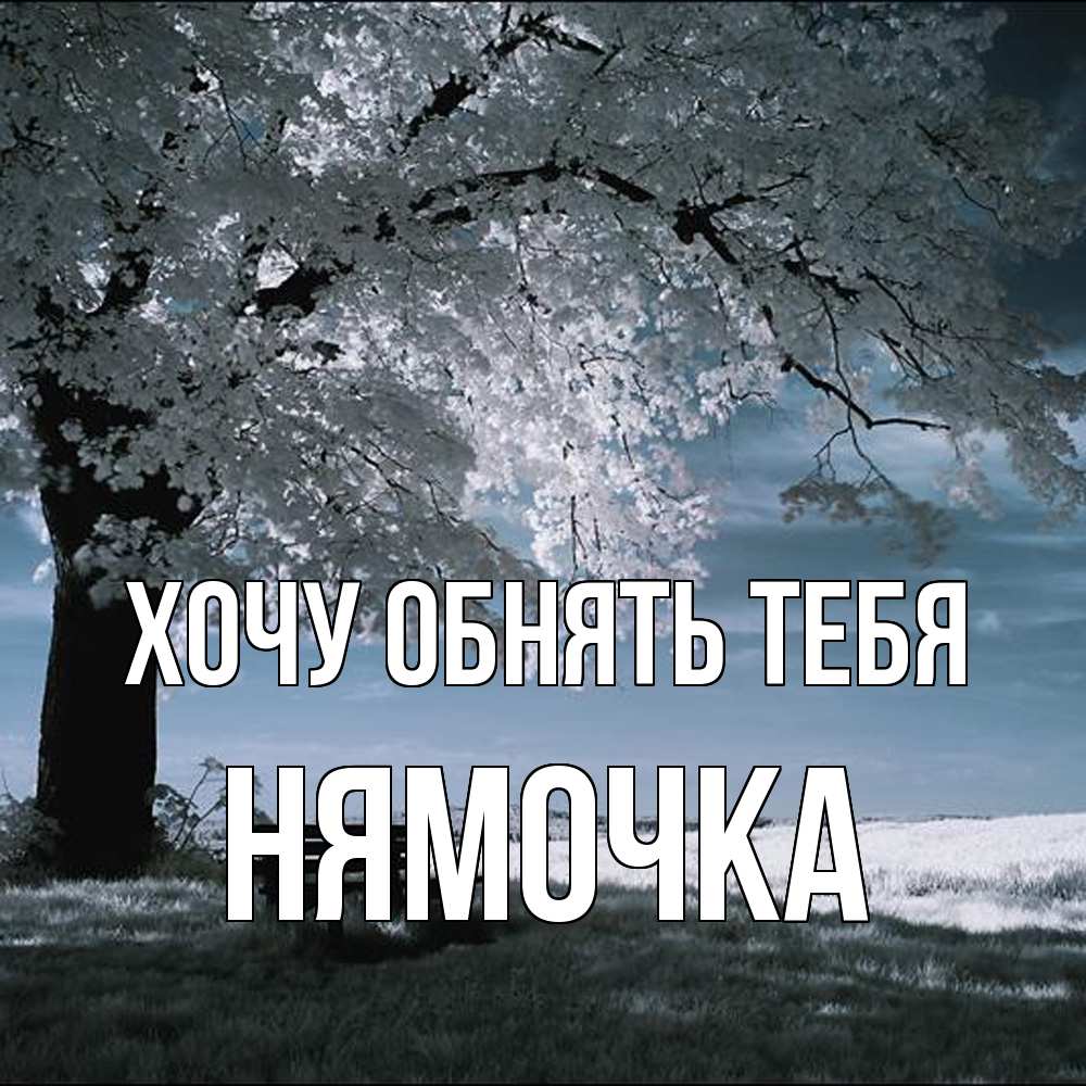 Открытка на каждый день с именем, нямочка Хочу обнять тебя дерево Прикольная открытка с пожеланием онлайн скачать бесплатно 