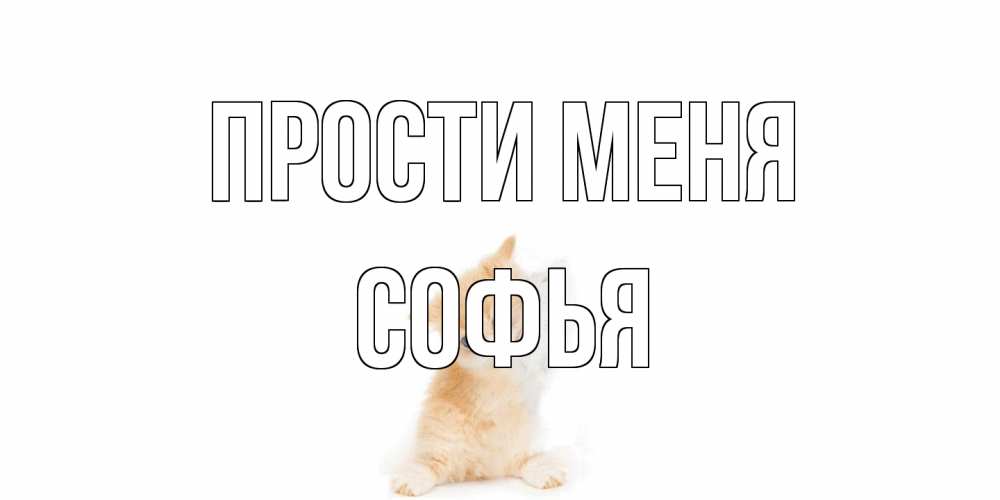 Открытка на каждый день с именем, Софья Прости меня кот Прикольная открытка с пожеланием онлайн скачать бесплатно 